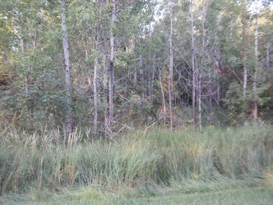 0 W Fairway St unit 18042237, Onekama Township, MI 49675 - photo 2