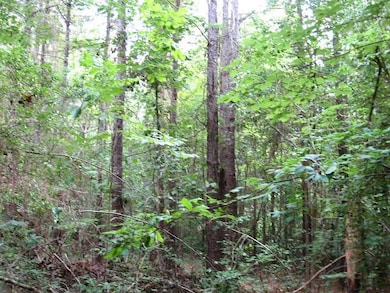 0 Athens Rd, Mendenhall, MS 39114 - photo 4