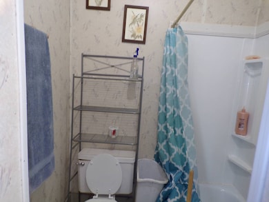 315 W 3rd St, Miltonvale, KS 67466 - photo 5