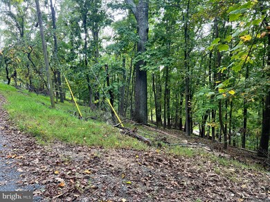 Lot #5 Bridle Path Rd, Front Royal, VA 22630 - photo 5