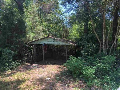 3531 Spring Creek Hwy, Crawfordville, FL 32327 - photo 2