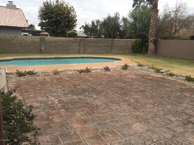 Large Yard with Pool