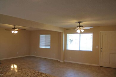 Large Living Room