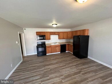 100 S Hanover St unit 4, Hershey, PA 17033 - photo 3