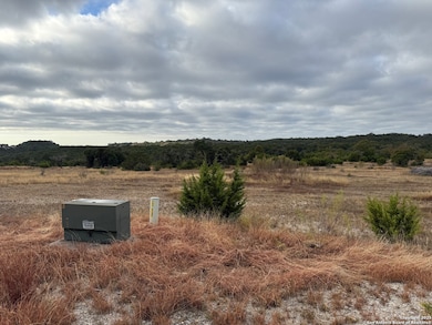 1629 Canyon Curve, Spring Branch, TX 78070 - photo 6