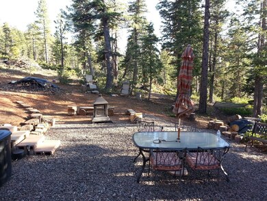 Gathering Area & National Forest