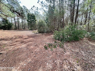 0 Pamlico Beach unit 100495750, Belhaven, NC 27810 - photo 3