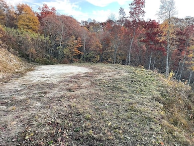 Lot 30 Alarka Highlands Dr, Bryson City, NC 28713 - photo 4