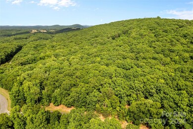 159 Pinnacle Trail, Denton, NC 27239 - photo 5