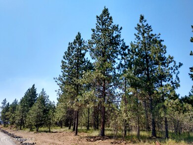 L4B1 N Sheep Springs Rd, Athol, ID 83801 - photo 3