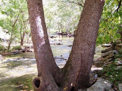 815 Grows Mill Rd, Wilmore, KY 40390 - photo 2