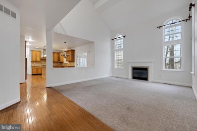 807 Colorado Dr, Newark, DE 19713 - photo 6