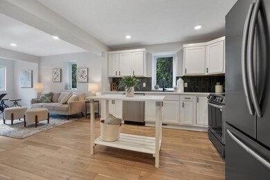 7353 20th Ave, Hugo, MN 55038 - photo 7