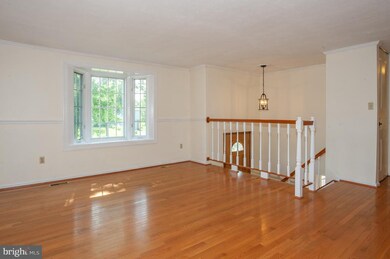 4408 Vantage Ct, Alexandria, VA 22306 - photo 3