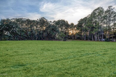 2 Cedar Island Wilmington NC-large-006-4