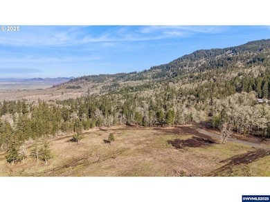 Lot 1st St, Harrisburg, OR 97446 - photo 5