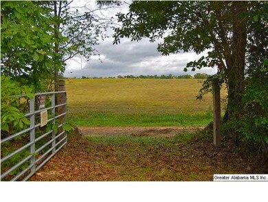 Looking out the front gate.  Property on the other