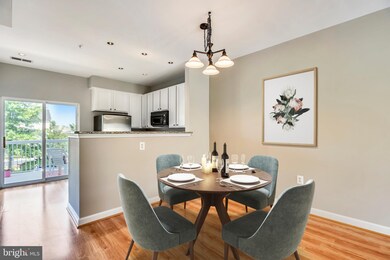 22571 Blue Elder Terrace, Ashburn, VA 20148 - photo 3