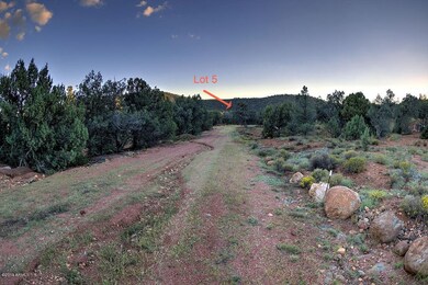Lot 5 (20)