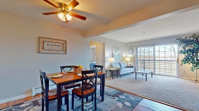 313 Hildred Dr unit 313, Burlington, VT 05401 - photo 6