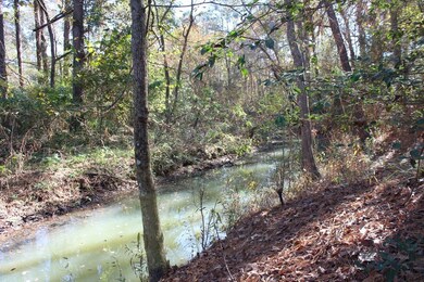 View of the creek at the back of the property