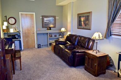 Basement Living Room