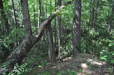 701 Chestnut Trail unit Lot 8, Hendersonville, NC 28792 - photo 4
