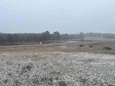 12187 County Road 215, Tyler, TX 75707 - photo 5