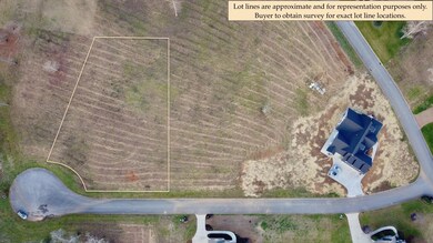 Magnolia Manor - Lot 10 - Berkley Ct