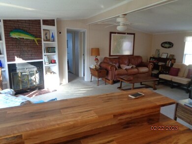 1410 NE Williamson Dr, Townsend, GA 31331 - photo 7