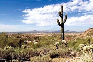 Camelback Mountain Views
