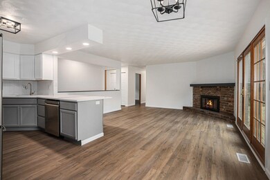 14694 Coon Hollow Rd, Three Rivers, MI 49093 - photo 6