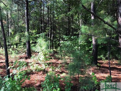 104 Harmony Dr, Springfield, GA 31329 - photo 5