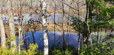 38 Remington Rd unit Lot 12, Thornton, NH 03285 - photo 6