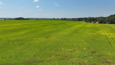 00 U S 49, Brinkley, AR 72021 - photo 2