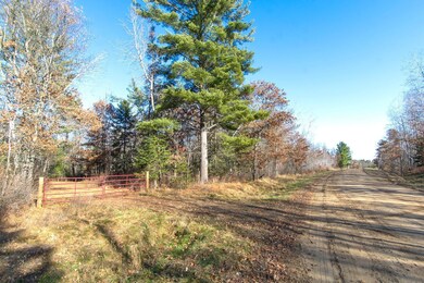 TBD Lot 3 Frustration Ln, Park Rapids, MN 56470 - photo 7