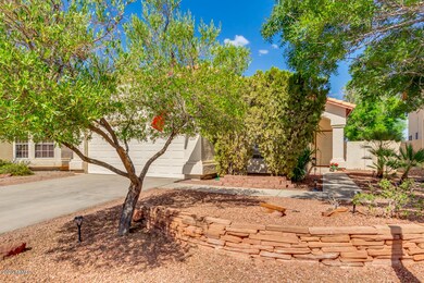 Mature landscaping