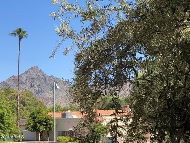 Mountain View + Privacy!