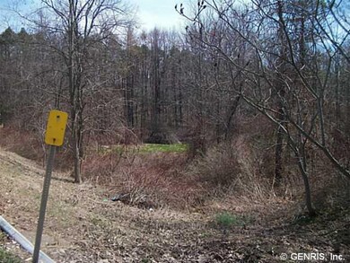 Land/Lot