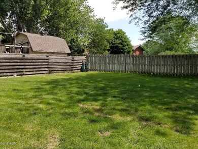 back yard