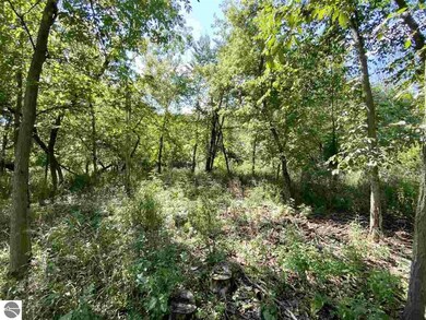 TBD S Pine River St, Ithaca, MI 48847 - photo 6