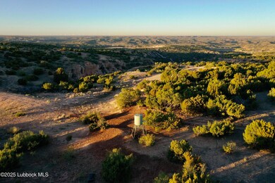 DJI_0486 copy