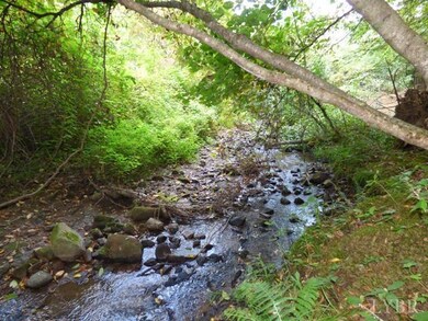 0 Pedlar River Rd unit 294062, Amherst, VA 24521 - photo 2