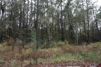 TBD Caddo Trail, Magnolia, TX 77354 - photo 5