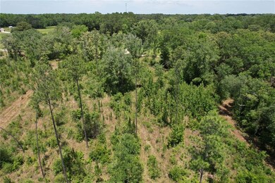 Drone / aerial view of a forest