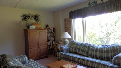 H Snowtree Meadows Ln unit H, Dover, VT 05356 - photo 3