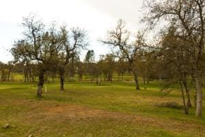 Belleterre Vacant Lot