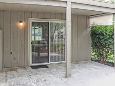 Dri Below Patio (1 of 1)