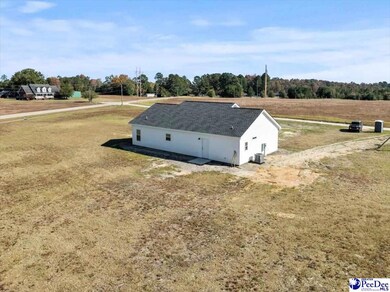 3485 Creech Rd, Marion, SC 29571 - photo 5