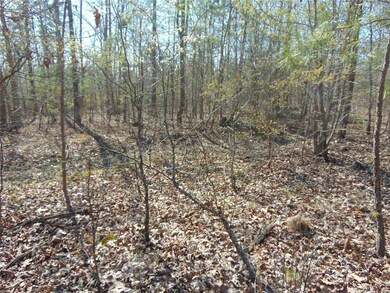 0 Tbd Co Rd 431, Poplar Bluff, MO 63901 - photo 3